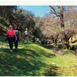 Programa Paseando por los Senderos de Jaén