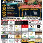 I Maratón de Vóley en Cortijos Nuevos