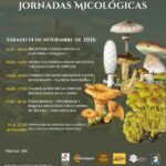 Jornada micológica en el Castillo de Segura de la Sierra